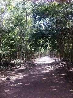 Ironman Cozumel e Yucatan - Dias 9