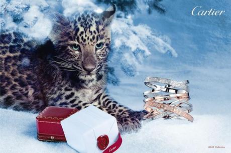 Cartier Winter Tale - Christmas 2012