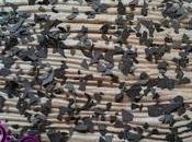 Tiramisu' senza uova