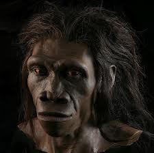 “Il Bigfoot è un ibrido comparso 15mila anni fa”