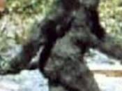 Bigfoot ibrido comparso 15mila anni