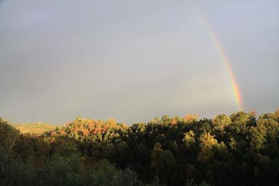 arcobaleni della settimana