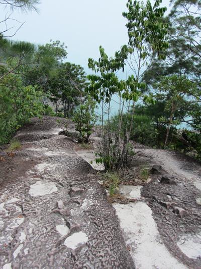 …Malaysia: Taman Negara e Sarawak/Borneo