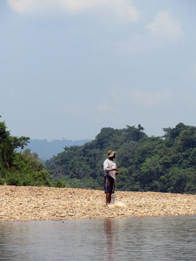 …Malaysia: Taman Negara e Sarawak/Borneo