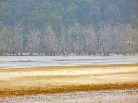 …Malaysia: Taman Negara e Sarawak/Borneo