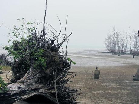 …Malaysia: Taman Negara e Sarawak/Borneo