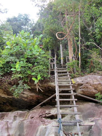 …Malaysia: Taman Negara e Sarawak/Borneo