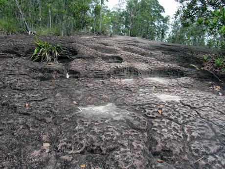 …Malaysia: Taman Negara e Sarawak/Borneo