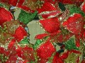 Corato: Fiera Natale, successo!Nuovi appuntamenti