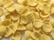 Orecchiette ricotta pinoli pomodorini