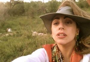 Lady Gaga, safari africano