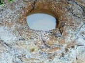 ciambellone sofficissimo variegato alla nutella