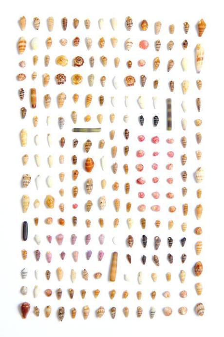 Patterns divertente blog 