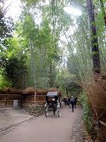 oltre il Torii inizia la Via degli Dei