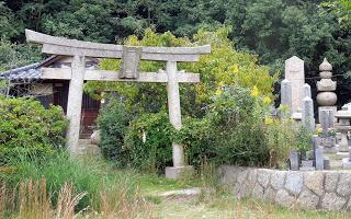 oltre il Torii inizia la Via degli Dei