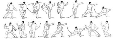 Considerazioni sul Tai Ji Quan 16/17 : Zuo You Xiashi Duli