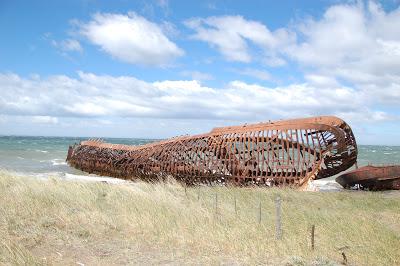 Ritorno in Patagonia