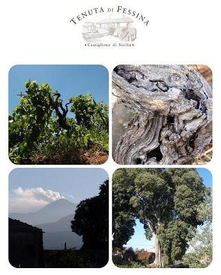 All’ombra del Millicucco…l’Etna si racconta. La conservazione “attiva” del Parco dell’Etna