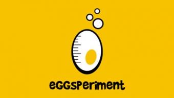 Egg Logo Design Inspirations