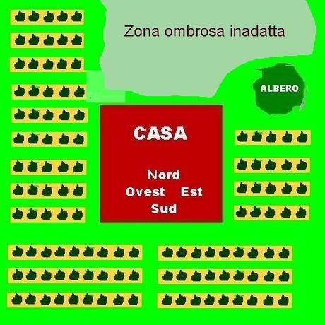 SE MANCA LA LUCE SOLARE GLI ORTAGGI NON CRESCONO