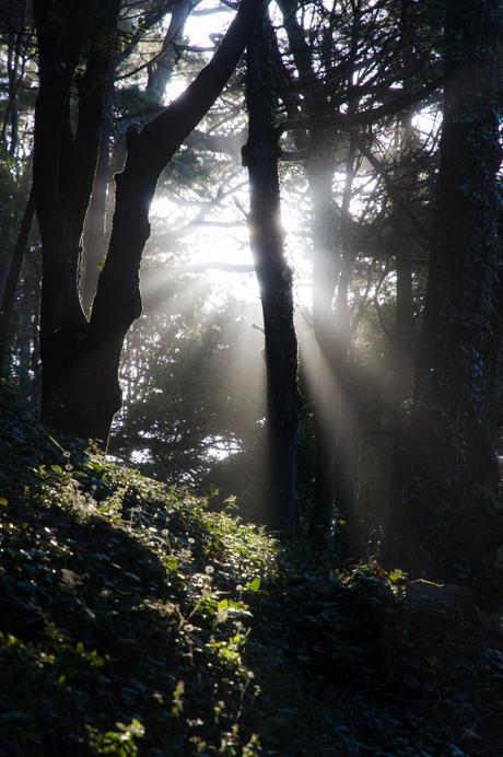 Sintra,”glorious Eden”