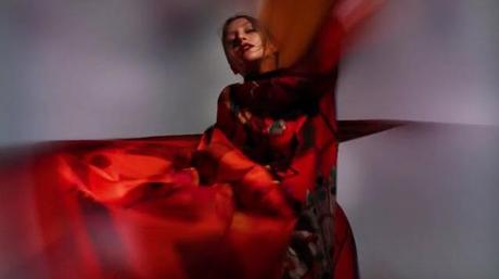 hermes-aw-2011-campaign-by-nick-knight-