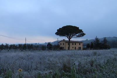 gelata di stagione