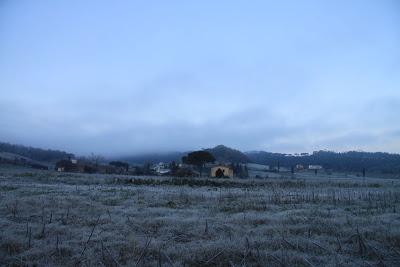 gelata di stagione