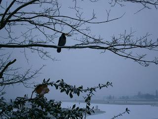 Sankt Nikolaus con la neve