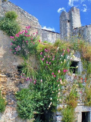 Si continua a distruggere il centro storico di Vico del Gargano