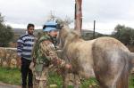 Bari/ Brigata “Pinerolo”. Discorso del Col. Motolese, ospite alla presentazione del CalendEsercito 2013