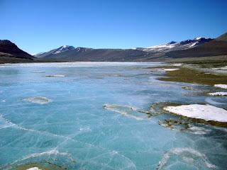 I batteri del lago Vida nella McMurdo Dry Valleys