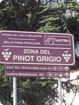 strada-del-vino-rotaliana