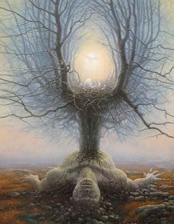 Tomasz Alen Kopera