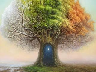 Tomasz Alen Kopera