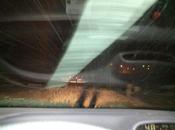palle neve