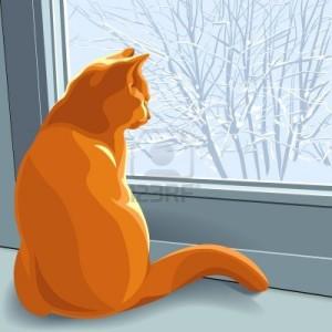 L’avviso dell’inverno