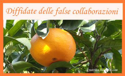 A tutti i blogger: DIFFIDATE delle false collaborazioni