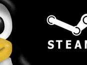 Steam Linux, appare requisiti alcuni giochi