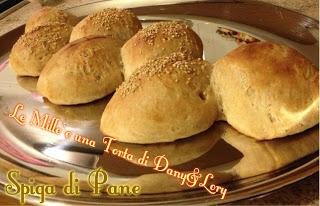 SPIGA DI PANE