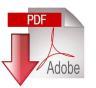 download pdf