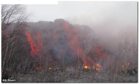 FENOMENI GEOLOGICI ATTIVI DAL CONTINENTE AMERICANO ALLA KAMCHATKA