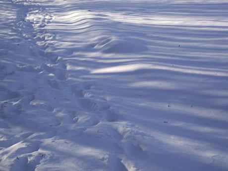 Consistenza, temperatura, angeli nella neve