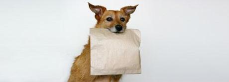 Il Doggy bag nella Capitale: ecco alcune informazioni