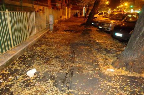 SE QUESTO E' UN MARCIAPIEDE. DISCARICA DI FOGLIE E RIFIUTI, MELME VARIE E RIGAGNOLI DI PISCIO. PASSEGGIARE PER ROMA E' UN VERO E PROPRIO CALVARIO.