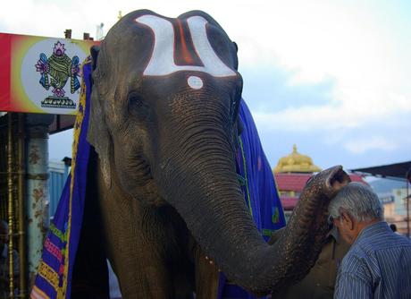 Un giorno a Tirumala