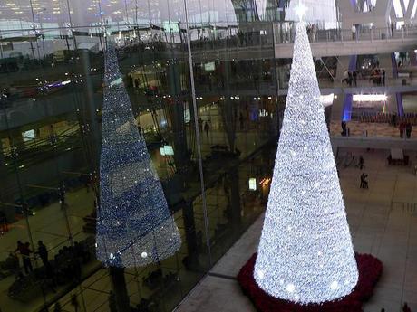 e un albero è sempre un urlo di gioia…