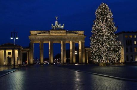 e un albero è sempre un urlo di gioia…