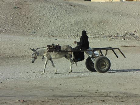 Il mio presepe senza fine…