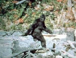 Il Bigfoot, dal 1800 a oggi